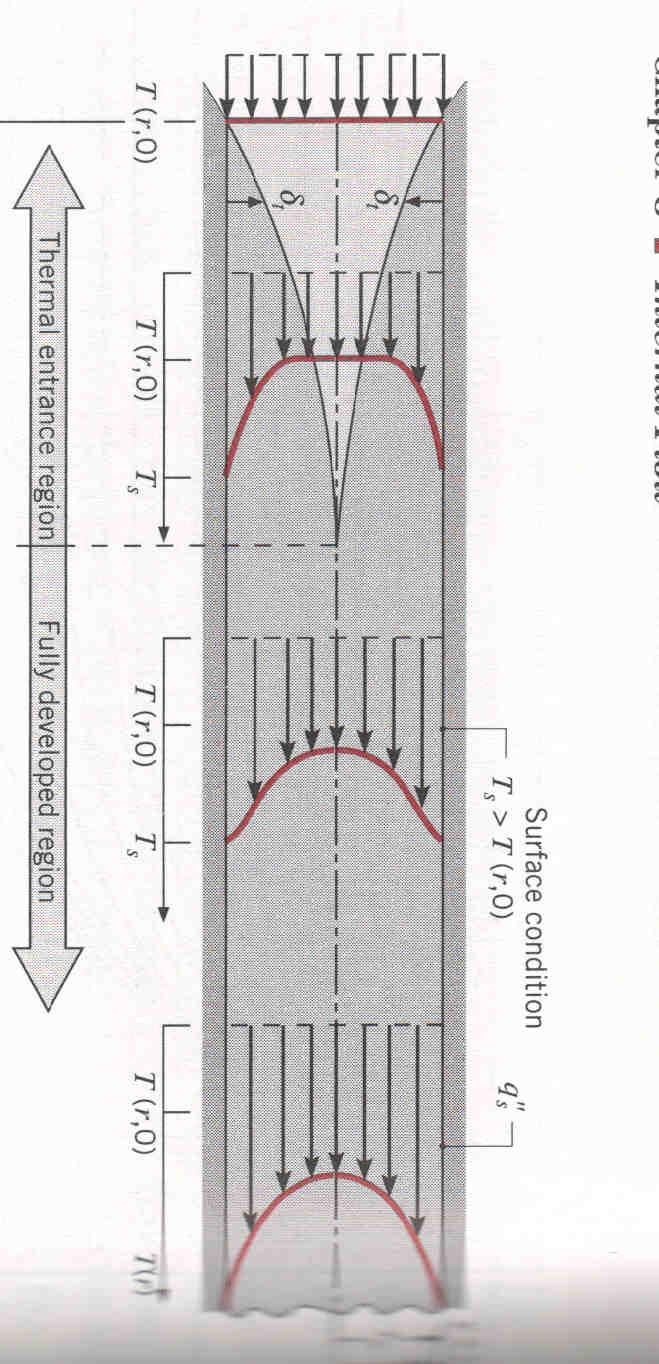 Bilancio energetico Figure 5: Strato limite termico in flusso riscaldato in tubo circolare Siccome il flusso interno è completamente racchiuso in una superficie è possibile applicare il bilancio dell