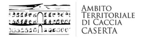 1 MODELLO B DICHIARAZIONE CUMULATIVA IN CARTA SEMPLICE All A.T.C. CASERTA FORNITURA CON LOTTO UNICO, DI COMPLESSIVI 5.