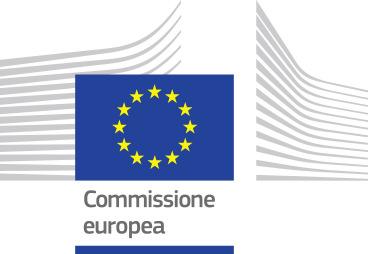 AESI - SEMINARI DI STUDIO 2019 IN COLLABORAZIONE CON : Rappresentanza in Italia CASD DGRI - MAECI SEMINARI DI STUDI EUROPEI PREPARATORI