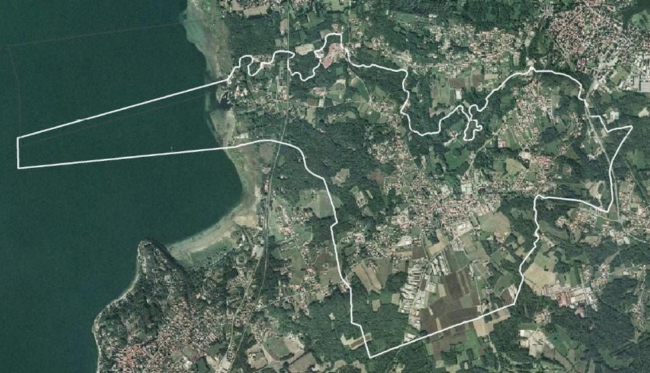 figura 1-1 _ foto aerea del comune di Brebbia (fonte: Google Maps) Il contesto comunale è caratterizzato dalla forte presenza di aree boscate e pioppeti che, occupando il 29% del territorio di