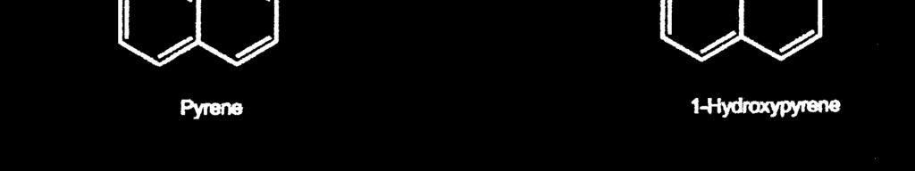 L International Agency for Research on Cancer (IARC) ha classificato il benzo(a)pyrene, il benzo(a)antracene e il dibenzo(a,h)antracene come sostanze di gruppo 2A (probabile carcinogeno umano).