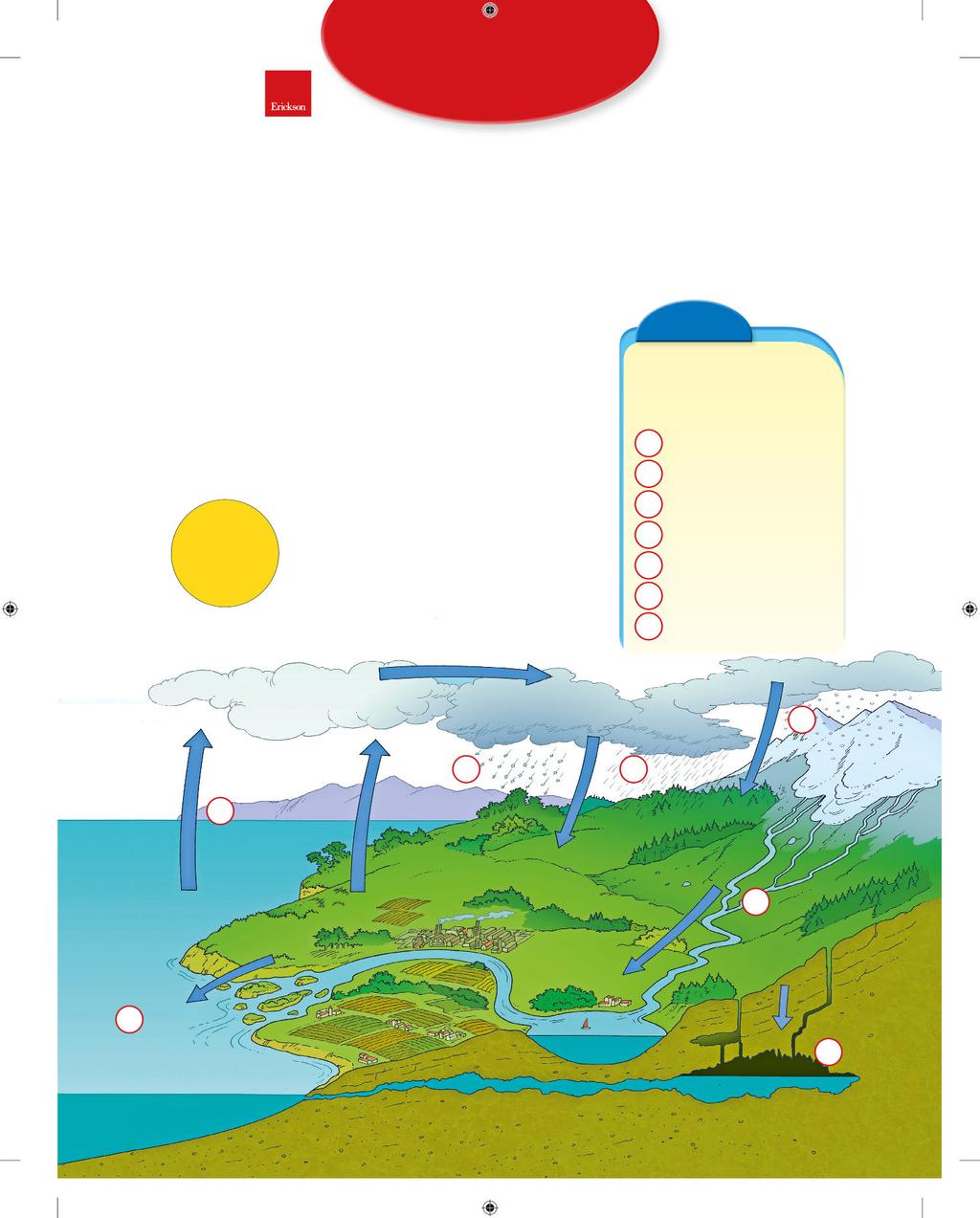 L acqua Quando cade, l acqua penetra anche nel terreno ed è assorbita dalle piante. Una parte dell acqua finisce nella falda acquifera, ossia sottoterra, dove viene trattenuta dalla roccia.