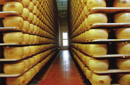 uniche come il Parmigiano Reggiano, il