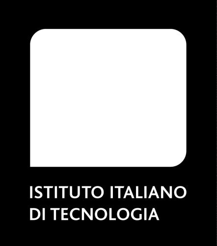 IIT ha l'obiettivo di promuovere l'eccellenza nella