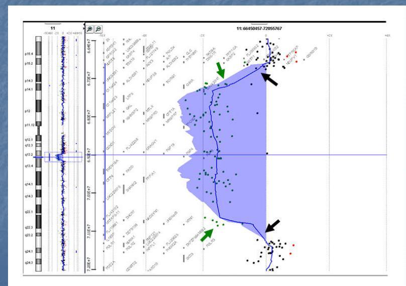 acgh: alcuni esempi applicativi Identificazione di una