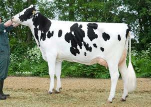 aaa: 243165 I Nato il: 16.05.2016 mitch VEENHUIZER K&L MF MILO P robot 133 135 NL000750760809 MILFORD P (STYLE P X SNOWMAN) X K L NELIZE BALISTO X NELLEKE MAN-OMAN C. 8.99 Tipo 2.12 ICM 1.