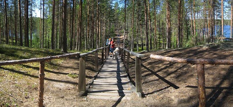 recentemente dai Finlandesi. Un facile sentiero ci permetterà di osservare i monumentali pini, alcuni dei quali hanno da 400 a 700 anni di età.