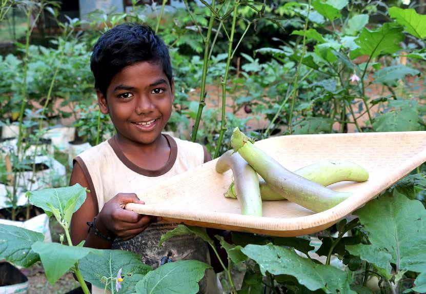 Kitchen garden Un progetto di coltura biologica a salvaguardia di salute e ambiente I prodotti dell orto a chilometro zero fanno bene a tutta la famiglia e anche per l educazione dei bambini.