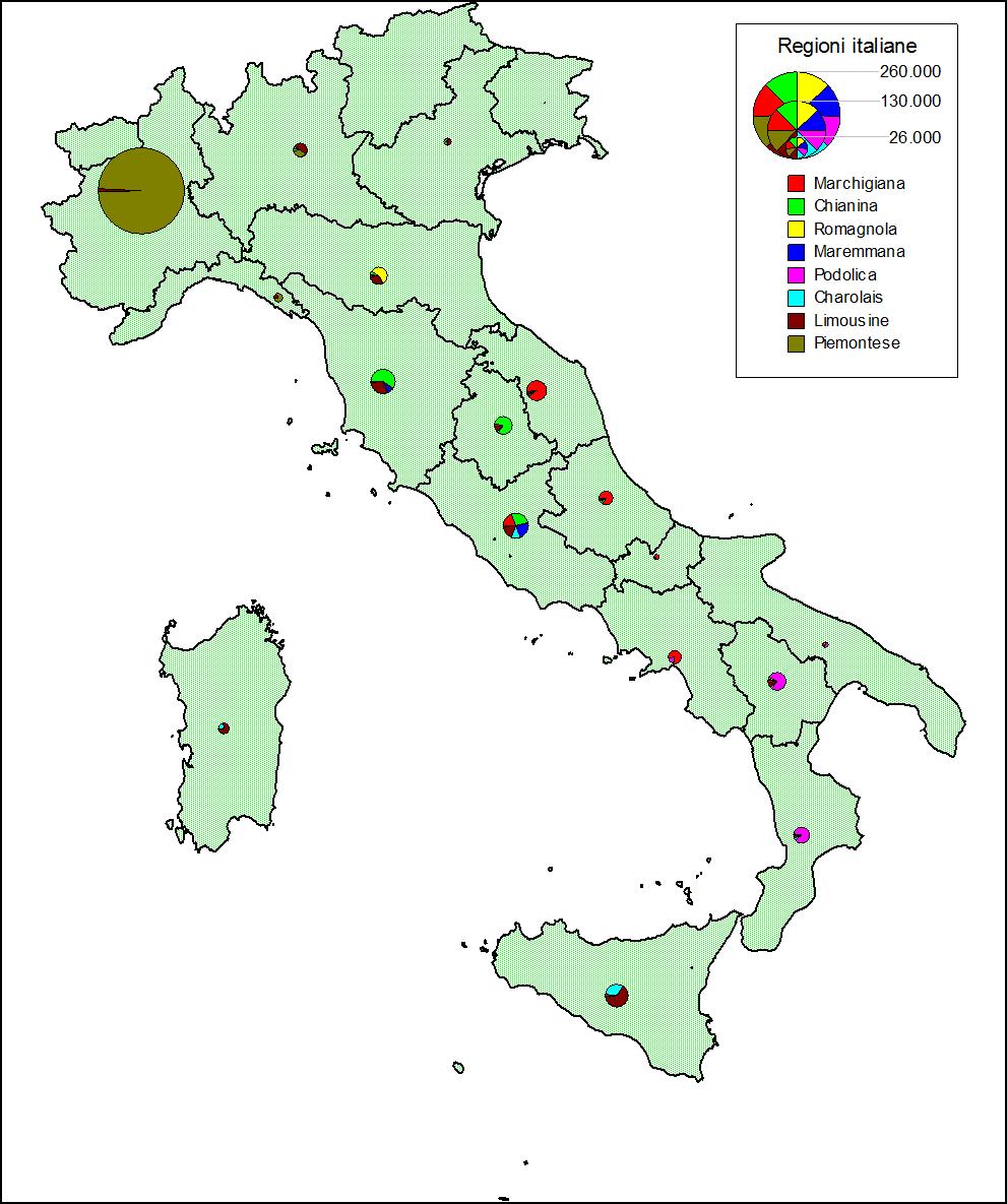 Il comparto carni bovine in Italia - PSRN 2014-2020 RAZZA ALLEV.