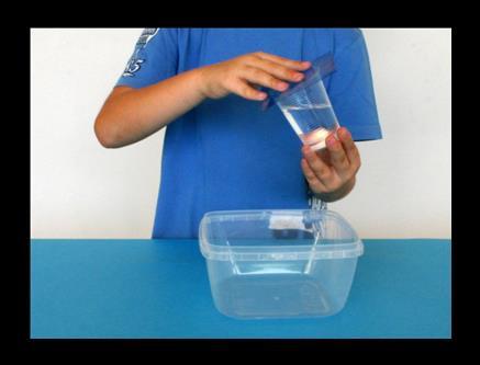 Copri il bicchiere con il foglio di plastica. 4.