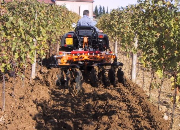 ) privilegiando l'impiego di graminicidi specifici o glifosate in miscela con carfentrazone etile o pyraflufen etile.