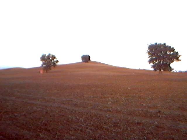 Provincia di Grosseto Comune di Civitella Paganico Committente Civitella Paganico 2000 srl