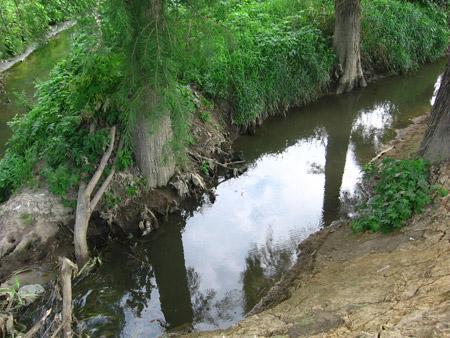 Roggia - 4 Canale d irrigazione con tracciato parallelo al Lambro; la vegetazione spondale ha in linea di massima le caratteristiche di quella descritta precedentemente, ma si segnala un abnorme