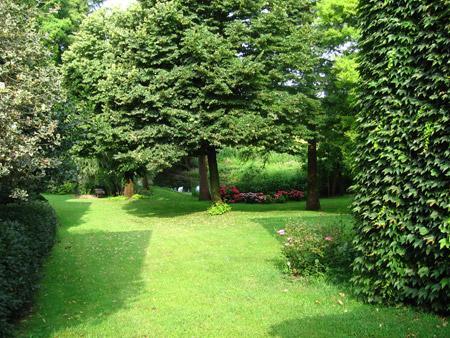 Parco privato - 13 Giardino privato con diverse essenze ornamentali.