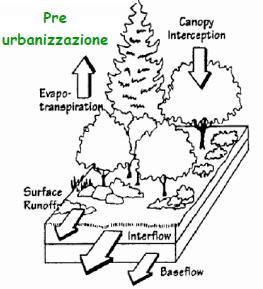 Intercettazione arborea La tipologia di suolo determina la sua permeabilità e quindi influenza l infiltrazione in falda, l infiltrazione superficiale e il ruscellamento