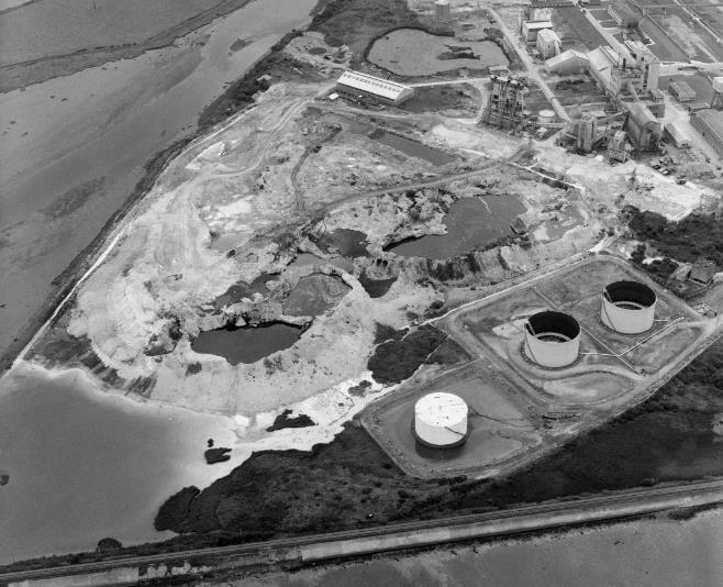 anni 70 Fiume Primi anni 80: fine emungimento formazione lagune Sito Estuario 1960-80: dewatering