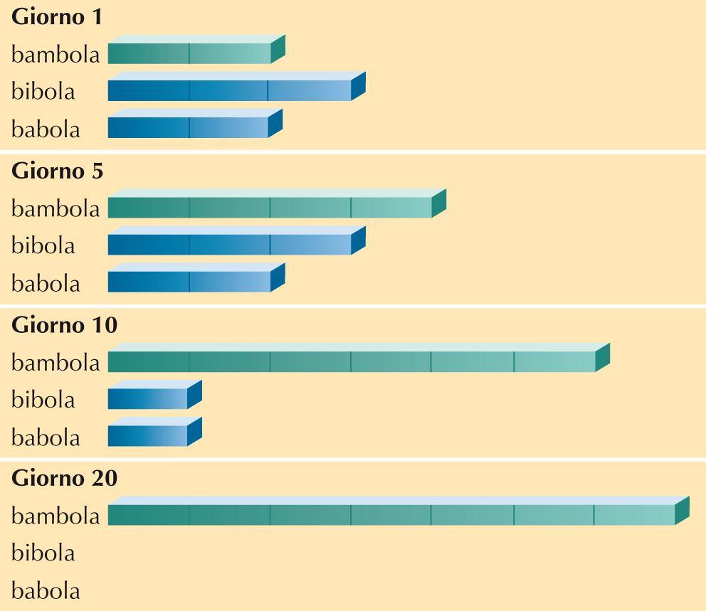 Una bambina, che sta imparando a parlare, quando vuole la sua bambola preferita (Bambola) dice «bambola», «bibola» o «babola». All inizio, usa le tre diverse parole alternandole.