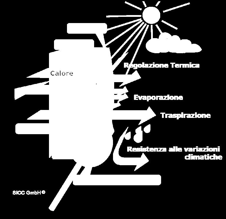 Effetti all esterno Nei mesi estivi, sulla superficie si crea un effetto di evaporazione. L eccessivo calore viene così efficacemente eliminato dalle pareti.