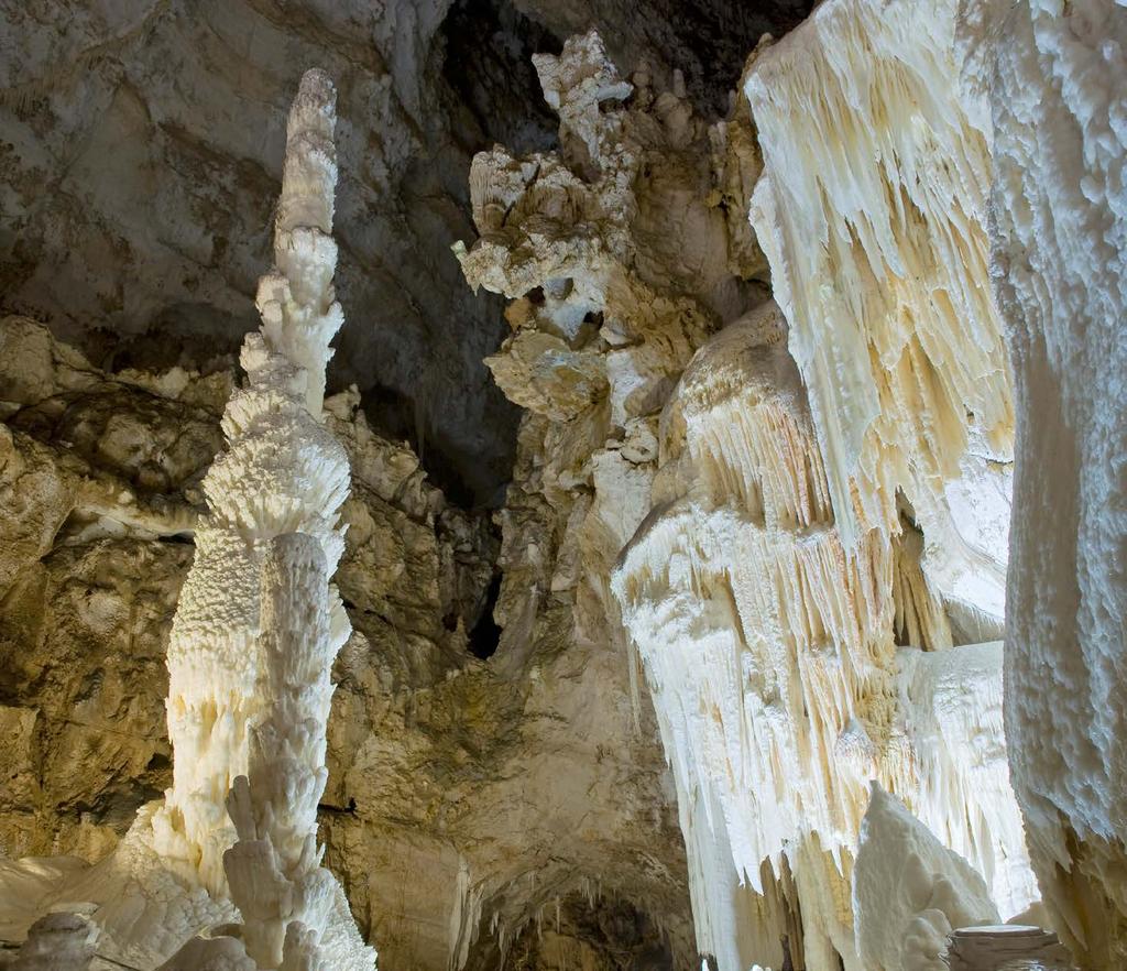 Da chi da anni si occupa di proteggere e valorizzare le grotte fra le più belle al mondo, giunge l invito ad una rinnovata relazione con il territorio e all adozione di buone pratiche per lo sviluppo