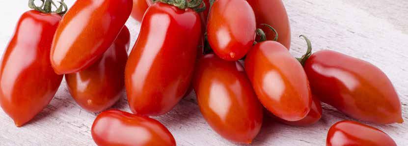 I frutti, di buona consistenza, presentano una colorazione rosso intensa ed hanno una forma slanciata.