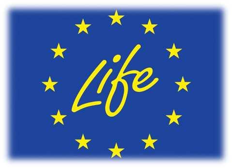 LIFE Il raggiungimento degli obiettivi del Programma LIFE passa attraverso una buona comunicazione dei risultati dei progetti co-finanziati Gli strumenti offerti dalla Commissione