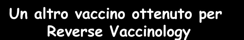 Identificazione nuove proteine Espressione di nuove proteine