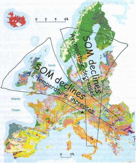 Contenuto in sostanza organica nei suoli europei in relazione