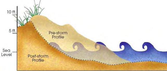 B. I rischi marino costieri Sono legati a fenomeni molto complessi, dovuti alla concomitanza di diversi parametri e