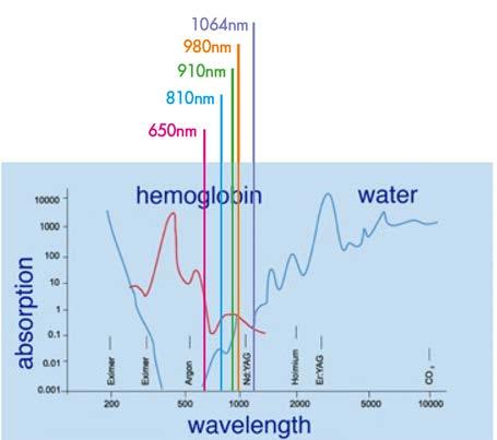 E importante che il laser abbia una lunghezza d onda che rientri nella cosiddetta Finestra terapeutica : LUMIX C.P.S. Podiatry emette nelle lunghezze d onda da 650nm a 1064nm.