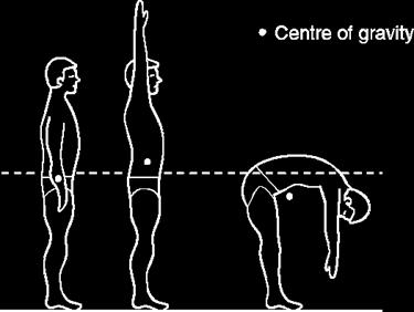 Caratteristiche del CM Il CM del corpo umano non è un punto anatomico fisso Il CM non ha una posizione fissa rispetto ai punti di repere anatomici (come l ombelico).
