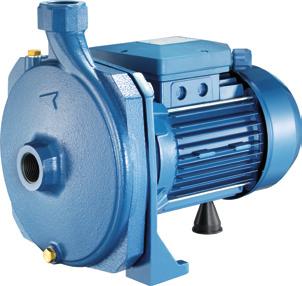 Single impeller centrifugal pumps, extremely silent suitable for household, civil and industrial applications, with a very flat curve to guarantee constant pressure even when the delivery.