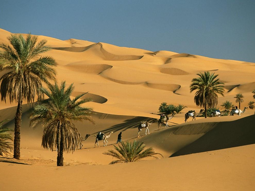 Il deserto Il clima del deserto è caratterizzato da grandi escursioni termiche e da rare