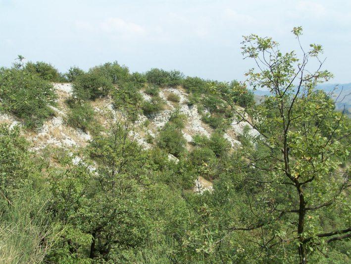 Geologica d Italia alla scala 1:50.000, in parte ancora in corso di stampa, riportano invece le nuove denominazioni di Gruppo di Bismantova e di Formazione di Pantano (PAT) (cfr ad es, Bettelli et al.