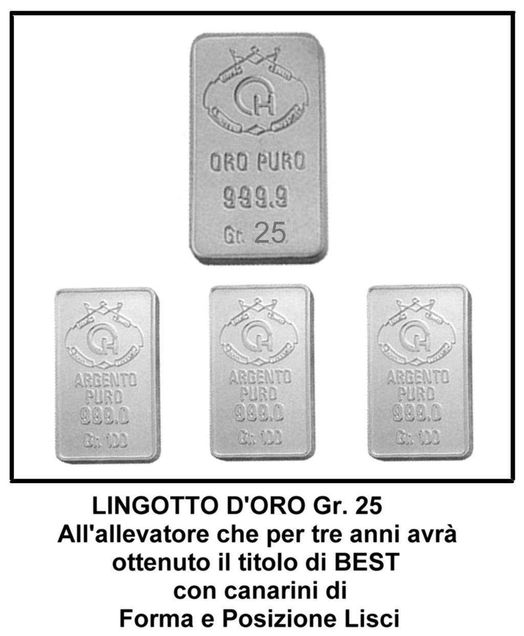 9 TROFEO in memoria di MOTTA GIULIANO ANNO 2008 - ANNO 2009 - ANNO 2010 - ANNO 2011 - ANNO 2012 - ANNO 2013 - ANNO 2014 -