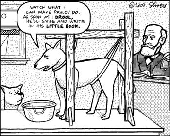 Pavlov notò che i cani salivavano appena entrava nella stanza, associando la sua presenza (stimolo condizionato) al cibo (stimolo incondizionato,