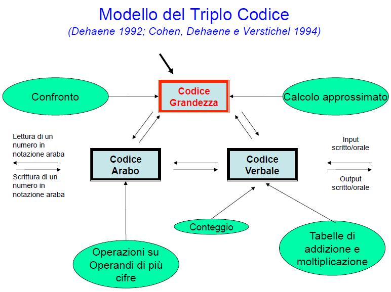 L APPRENDIMENTO DELLA MATEMATICA FATTORI TEMPO E ATTENZIONE