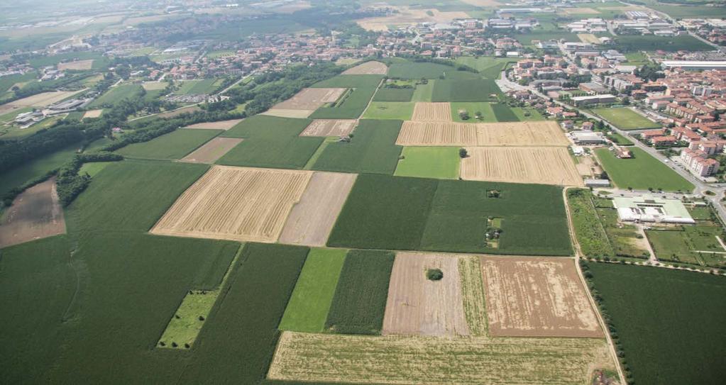 Il paesaggista si occupa della cura e del progetto del suolo, del paesaggio, del patrimonio materiale storico e culturale.