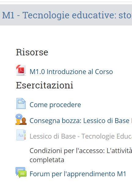 IL CORSO Struttura dell ambiente virtuale di apprendimento SPAZIO DI LAVORO PER MODULO Risorse Slide della lezione Indicazioni di lettura obbligatoria Letture/risorse facoltative Esercitazioni