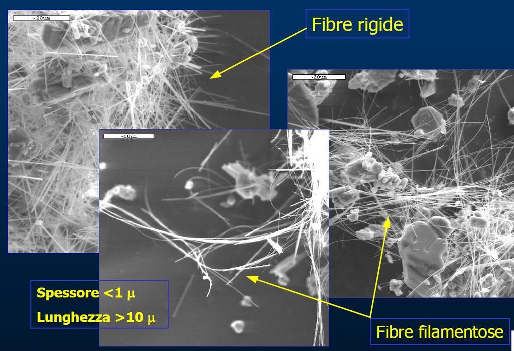 tossicità delle fibre in quanto direttamente