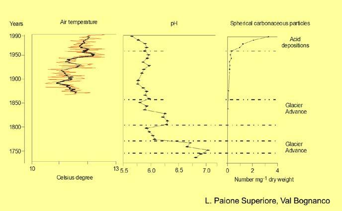 determinato un generalizzato aumento dei soluti (Rogora et al.