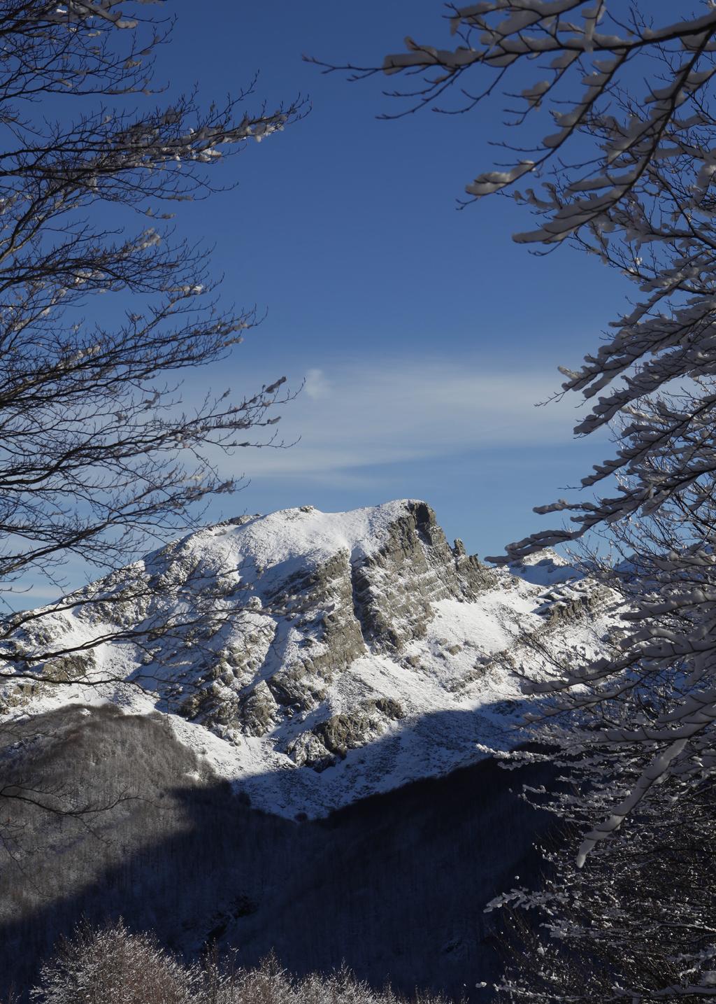 collananeved autore Escursioni invernali nell