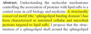 Reazioni competitive nei processi di ripiegamento e aggregazione delle proteine. http://biosocialmethods.isr.umich.
