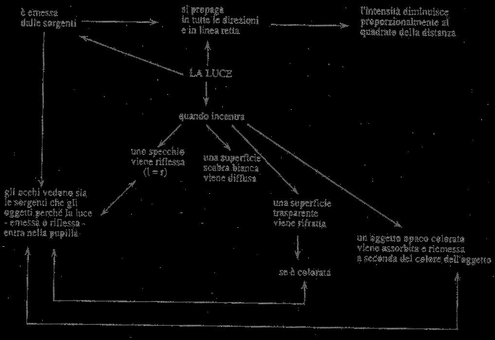 Modello a raggi Schema scientifico