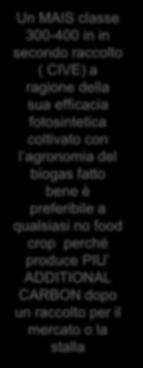 bene è preferibile a qualsiasi no food crop perché produce