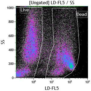 Fluorophore CD11b PMN/Macrophages CC126