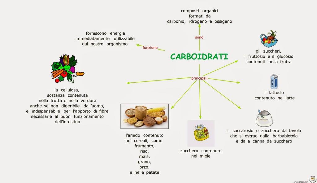 I carboidrati Chiamati anche glucidi o zuccheri, sono i componenti organici più abbondanti sulla terra.