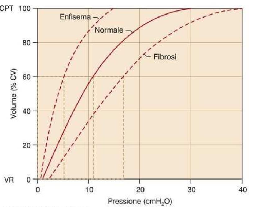 Variazioni della curva P-V del sistema toraco-polmonare saranno conseguenza di variazioni della curva P-V del polmone e del torace.