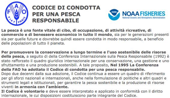 Il Codice di Condotta è un approccio che è nato nel 1992 ed è stato ufficializzato nel 1995 dalla FAO: le