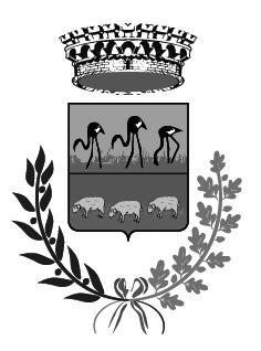 COMUNE DI PAULI ARBAREI Prov. Sud Sardegna RELAZIONE DI INIZIO MANDATO ANNI 2016_2021 (articolo 4-bis del d.lgs. del 6 settembre 2011, n.