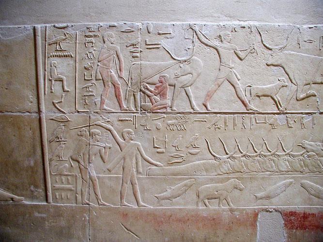 di: Ptahhotep (regno